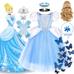 Deluxe Lace Embroidered Fluffy Princess Cinderella Costume Halloween Disney Theme Cosplay Dress Child Girl Birthday Party Outfit