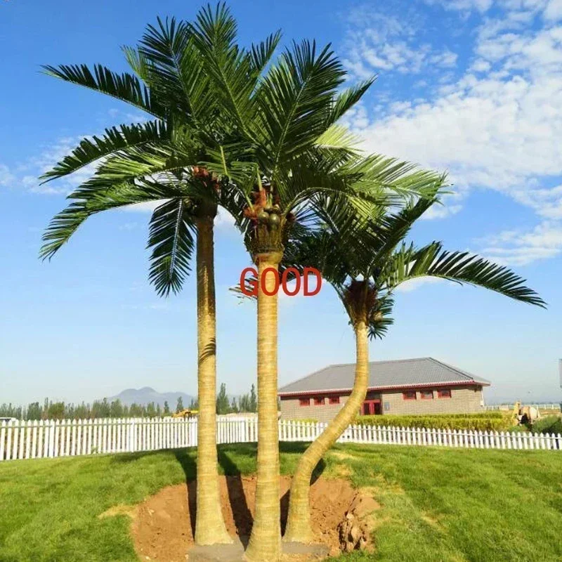 Imitation Coconut Tree Large Indoor and Outdoor Shopping Mall Decoration Tropical Coconut Tree