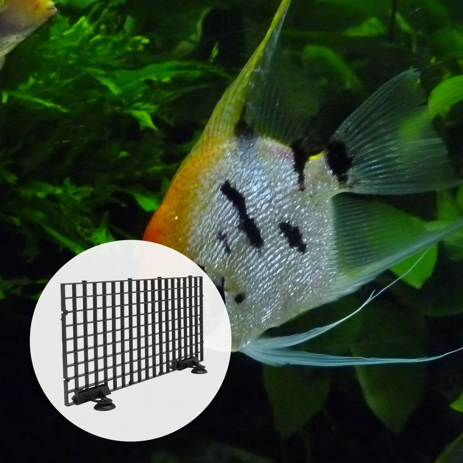 

Aquarium Fish Tank Cover Partition Bracket Separator Separated Net Aquariums Board for Isolation