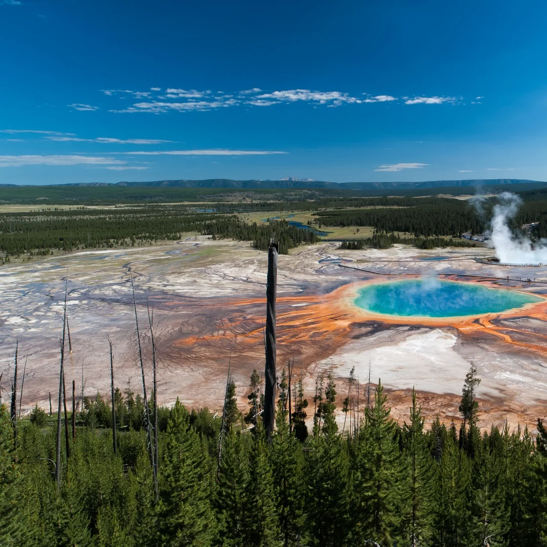 

m Long Screen Car Radio For Mercedes Benz S Class W221 CL W216 2005-2013 Car Multimedia Video Player GPS Navigation Carplay Unit