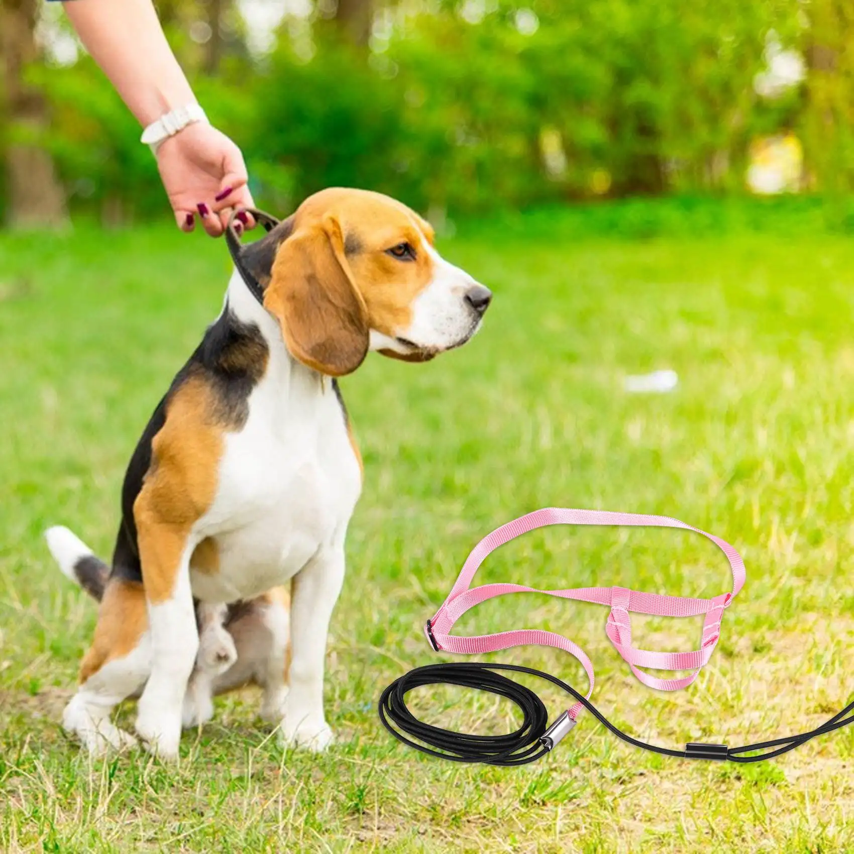 ABJS Pet Bird Harness and Leash,Adjustable Parrot Bird Harness Leash - Pet Anti-Bite Training Rope Outdoor Flying Harness and Le