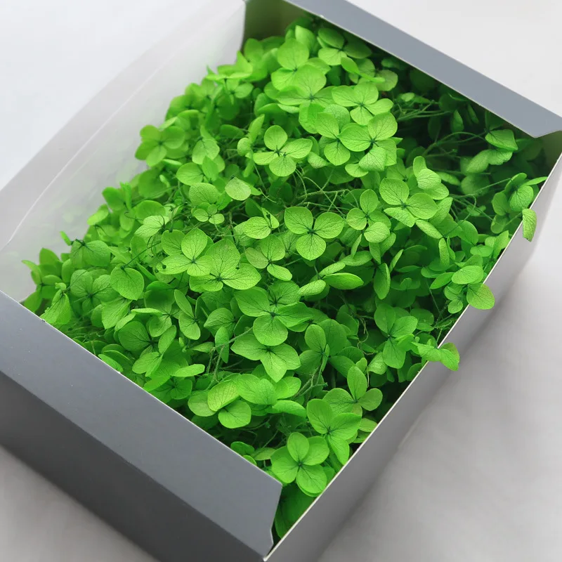 Clover Flowers for Decoration, Valentine's Day Gift Box, Gift to Friends, a Must-have for Furniture Decoration, DIY