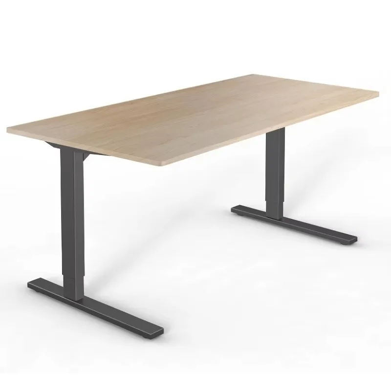Luxury Ergonomic Up And Down Dual Motor Office Computer Electric Studio Desk