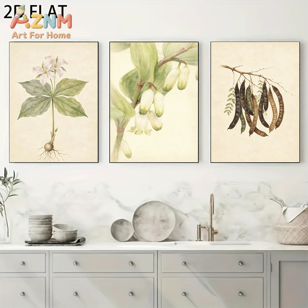 AZNM Frameless Canvas Wall Art, Vintage Botanical Plant Flower Seed Pod Print, Antique Watercolor Botanical Wall Decor for Livin