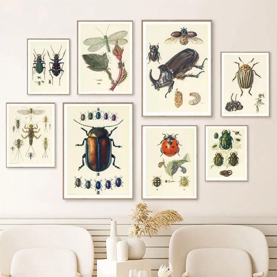 Classic Abstract Wall Art Vintage Beetle Insect Specimen Entomology HD Canvas Print Poster Home Living Room Bedroom Decoration