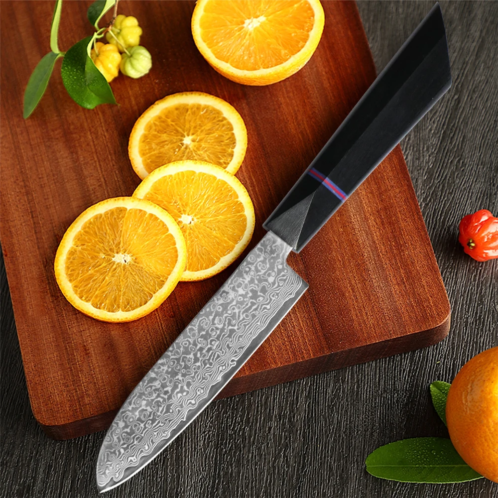 5 Inch Utility Knife 67 Layers Damascus Steel VG10 Steel Core Ultra Sharp Kitchen Knife for Fruit Vegetable Meat Cutting Cooking