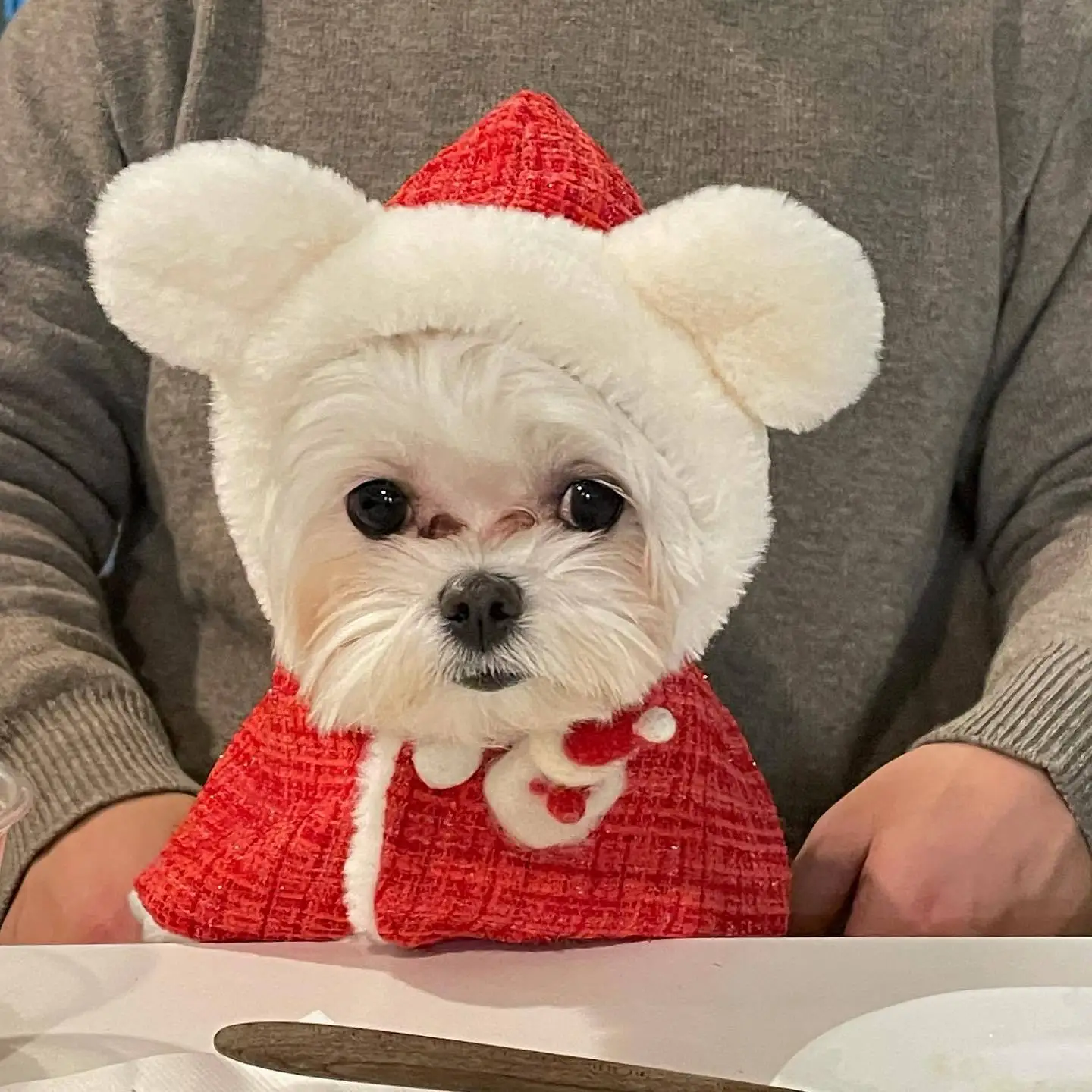 Pet Christmas Clothing New Year Clothes Plush Ears Red Hooded Bib Cape Cape Warm Fashion Popular Dog Decoration Pet Supplies