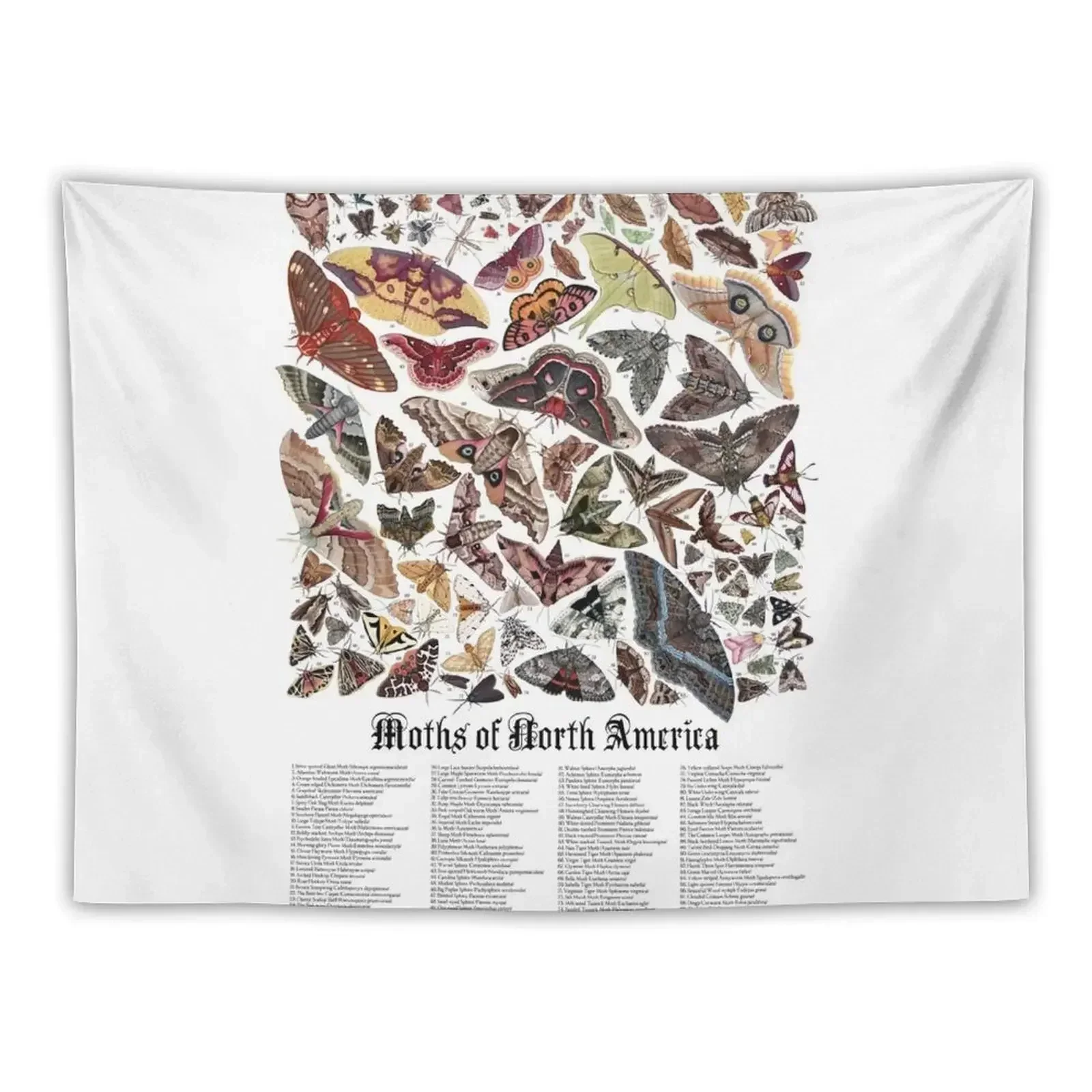 Moths of North America Tapestry House Decoration Japanese Room Decor Tapestry