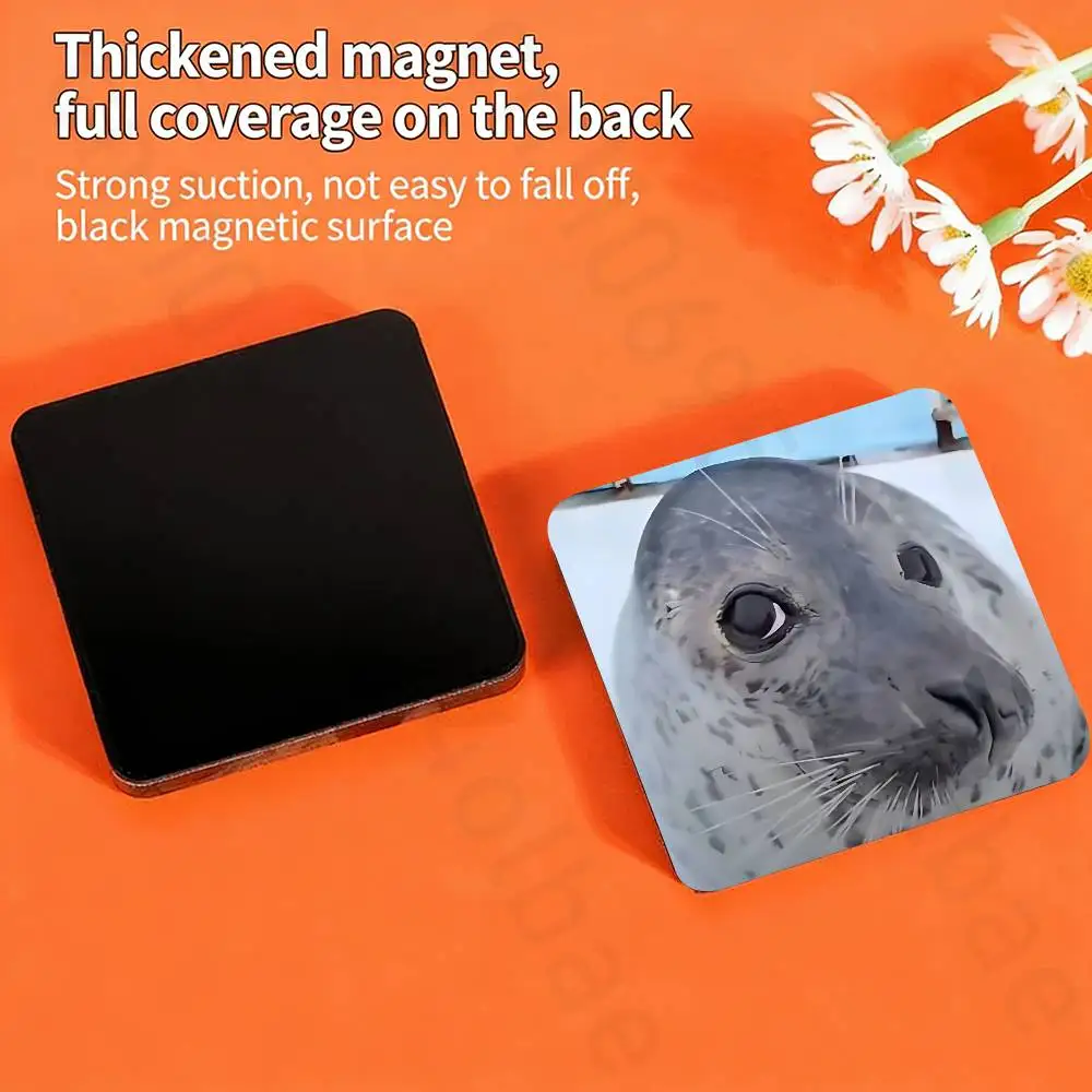 Seal Sea Cute Fridge Magnets Magnetic Refrigerator Memorial Gifts For Kitchen Office Locker Travel Home Deco