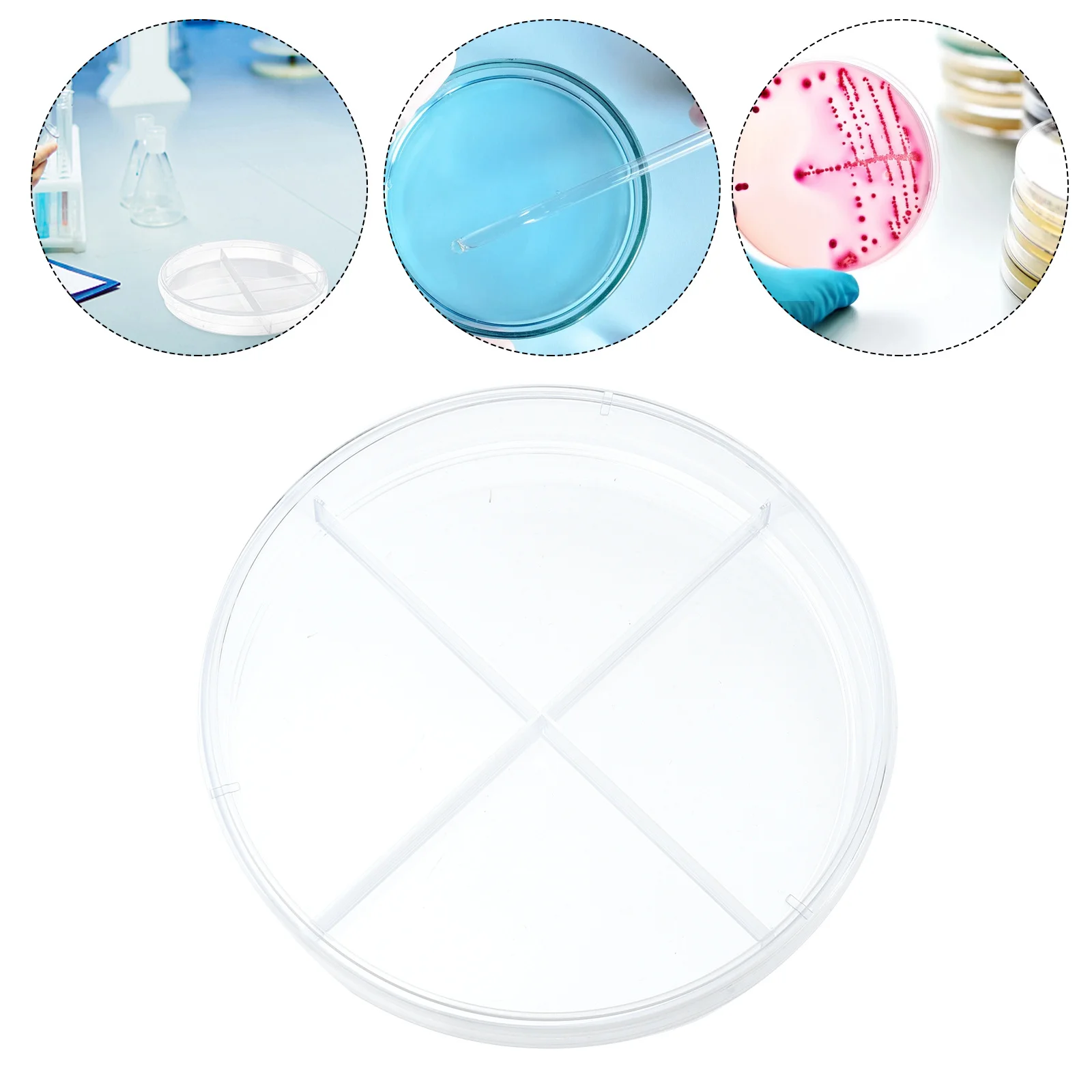 

10Pcs Professional Petri Dishes Clear Design Four Compartments Optically Transparent Science Petri Dish Teaching Aid