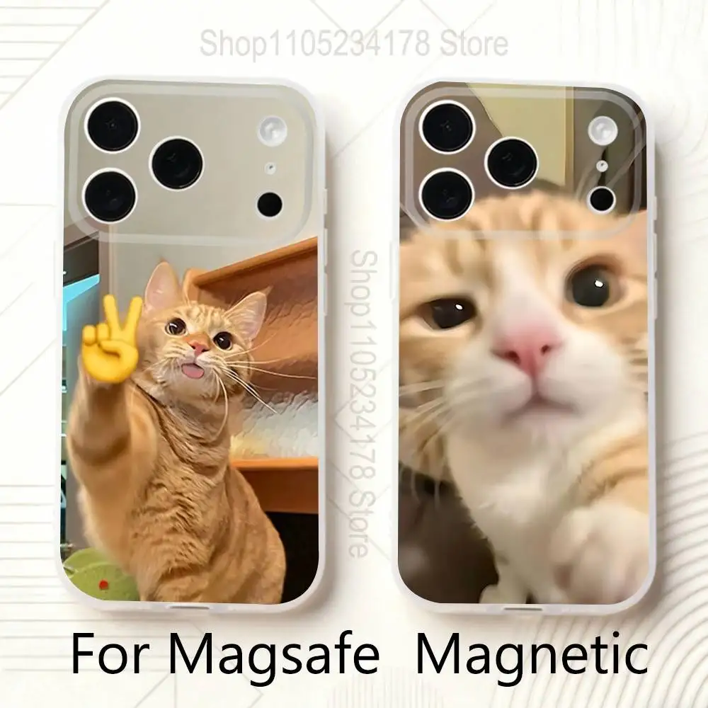 

Cute Cat Meme Phone Case For iPhone 17,16,15,14,13,12,11 Pro,Max,Plus,Mini,Air,E Magnetic Magsafe Frosted Clear