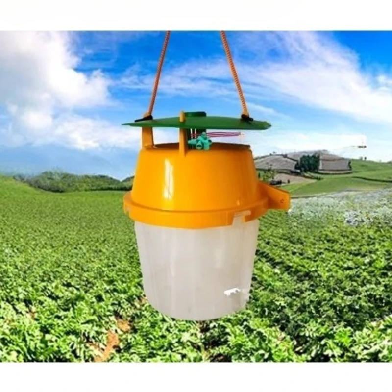 

Diamondback moth core-trapping pheromone-attracting agent vegetable deworming, hanging silk worm, borer trap