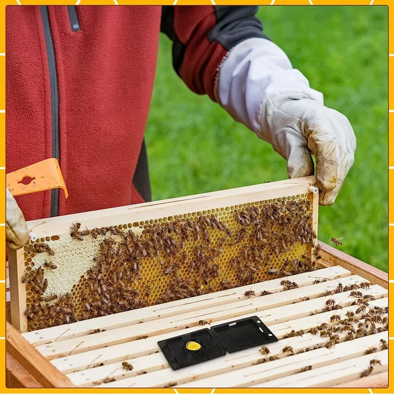 Trampa de escarabajo de colmena de AD23-50 Uds., herramienta de apicultura de plástico negro, apicultura para apicultura, mantener la colmena pequeña