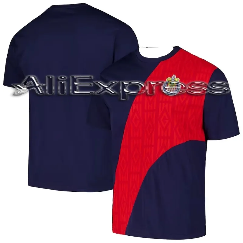 

Levitan 2024 Printed T-shirt, Esport Men's and Women's Uniform, Dragon Pattern T-shirt