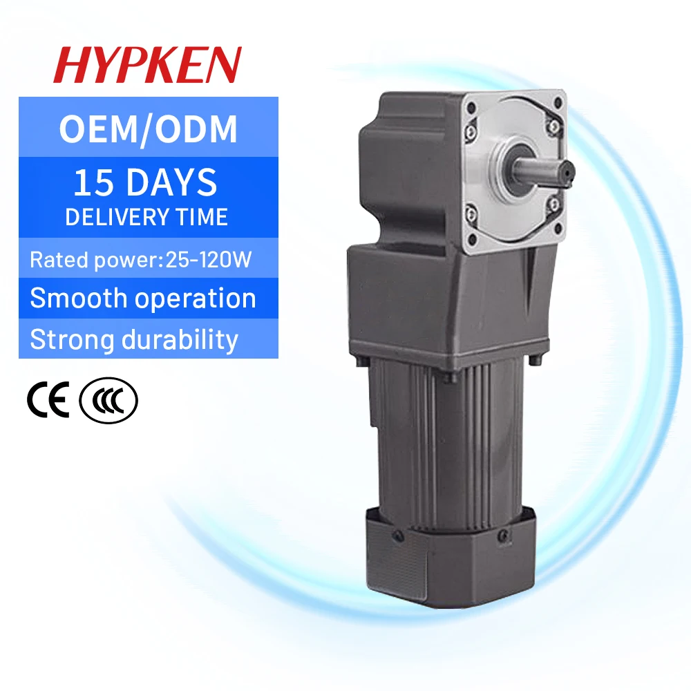 

Single Phase AC 90W Induction Gear Motor Speed Control For Face Mask Making Machine