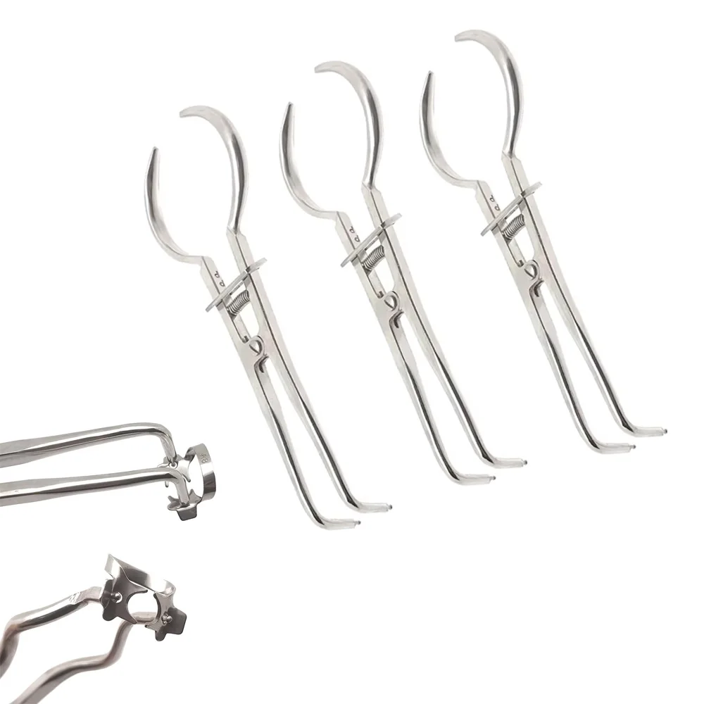 

Endodontic Rubber Dam Clamp Forceps Set Stainless Steel Dental Matrix Separating Pliers for Clamps Restorative Tools