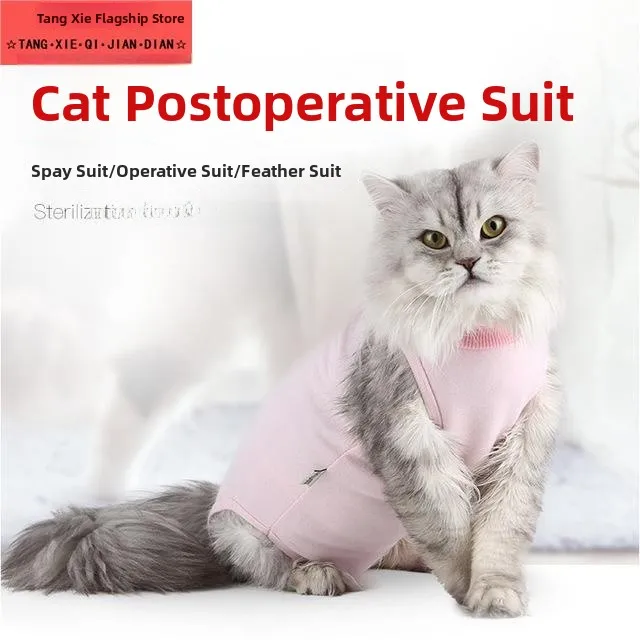 Cross-Border Elasti…