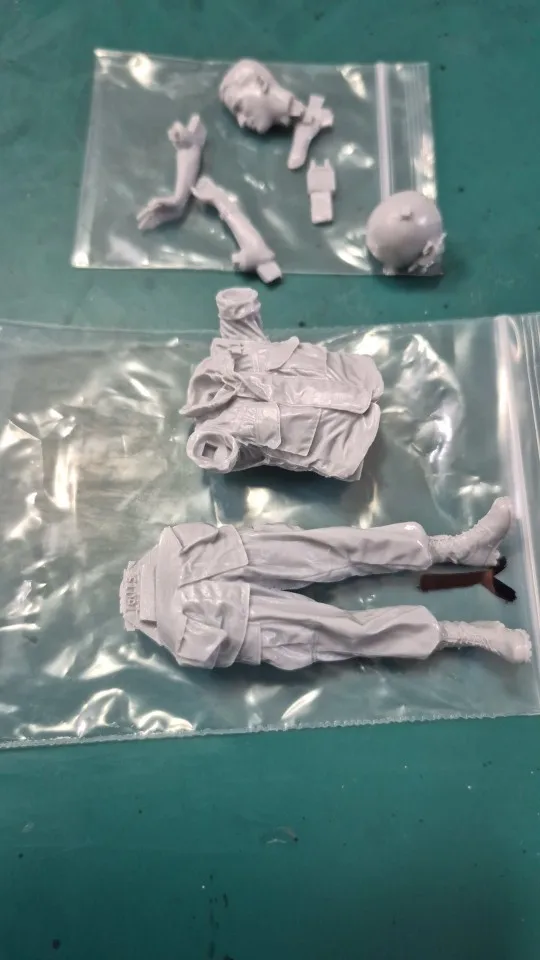 Buyer photo of this resin kit