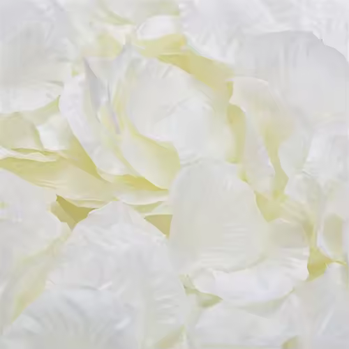 Black Artificial Rose Petals For Wedding Party Flower Favors Decoration Roses Supplies 500pcs Silk Petals Rosas Para Casamento - Image 16