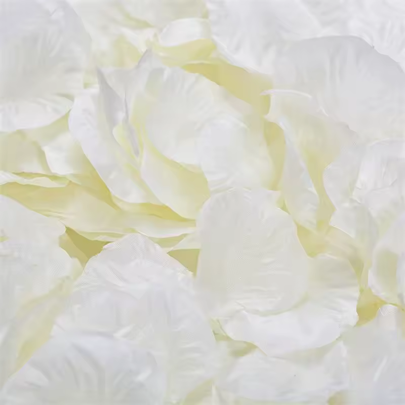 Black Artificial Rose Petals For Wedding Party Flower Favors Decoration Roses Supplies 500pcs Silk Petals Rosas Para Casamento - Image 16