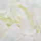 Thumbnail 16