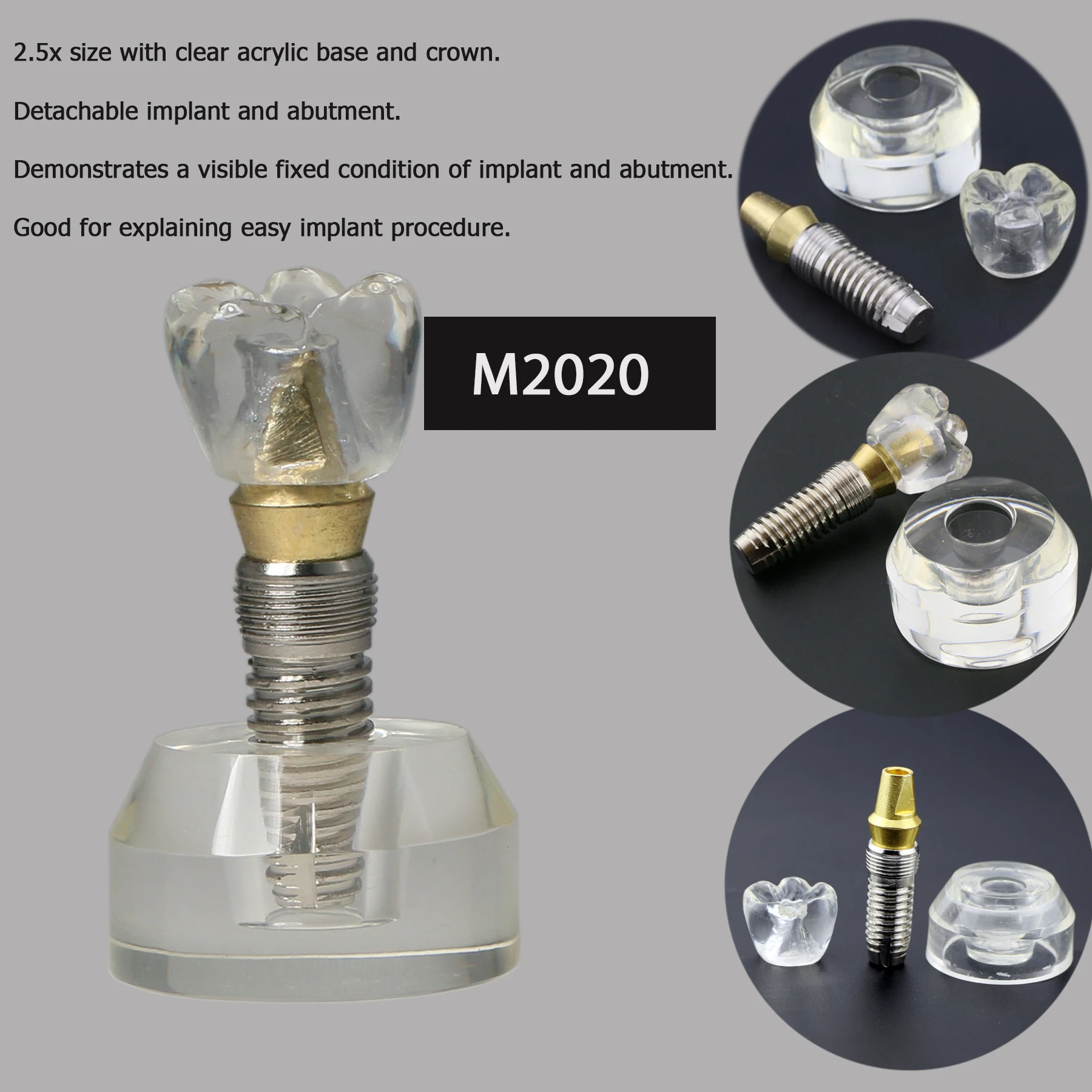 

Dental Typodont Implant Model Teeth Teaching Crystal Crown Demonstration Removable Dentures Analysis Study Clear M2020