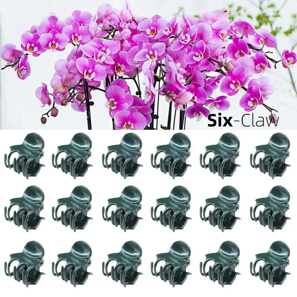50Pcs Garden Plant Clips Butterfly Orchid Flower Support Clamp Plastic Fruit Vegetable Stem Vine Grafting Supplies Garden Tools