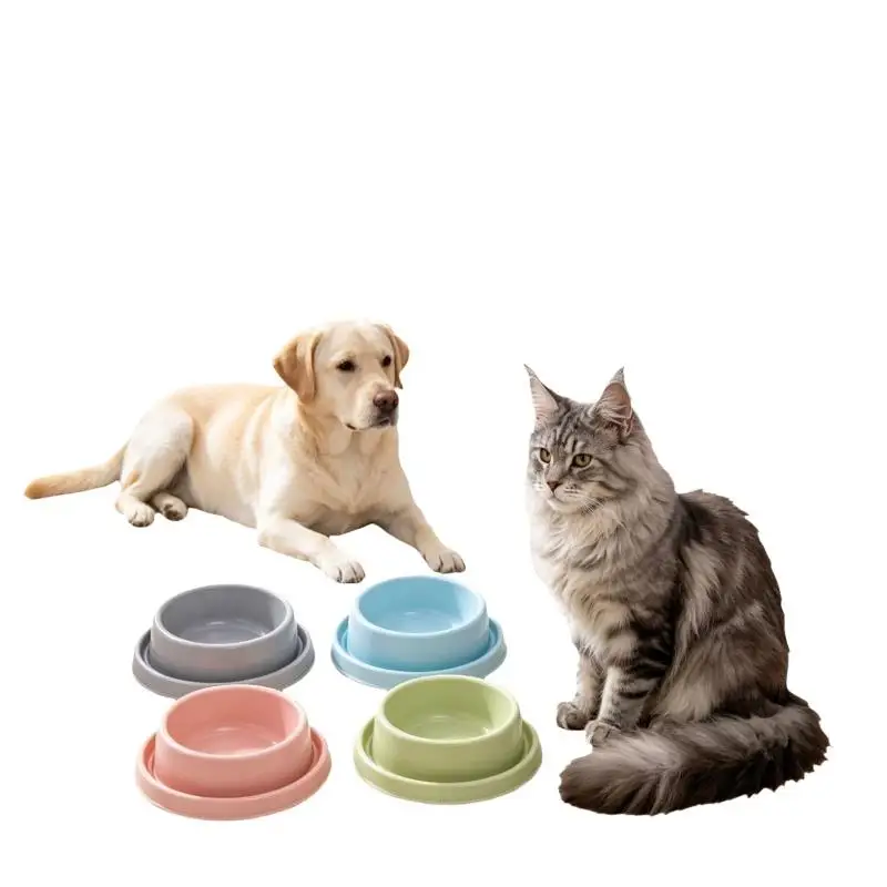 Anti Ant Pet Food Water Bowl Heavy Duty Plastic Anti Spill Non Slip for Cats Dogs Prevent Messy Floors Home Use