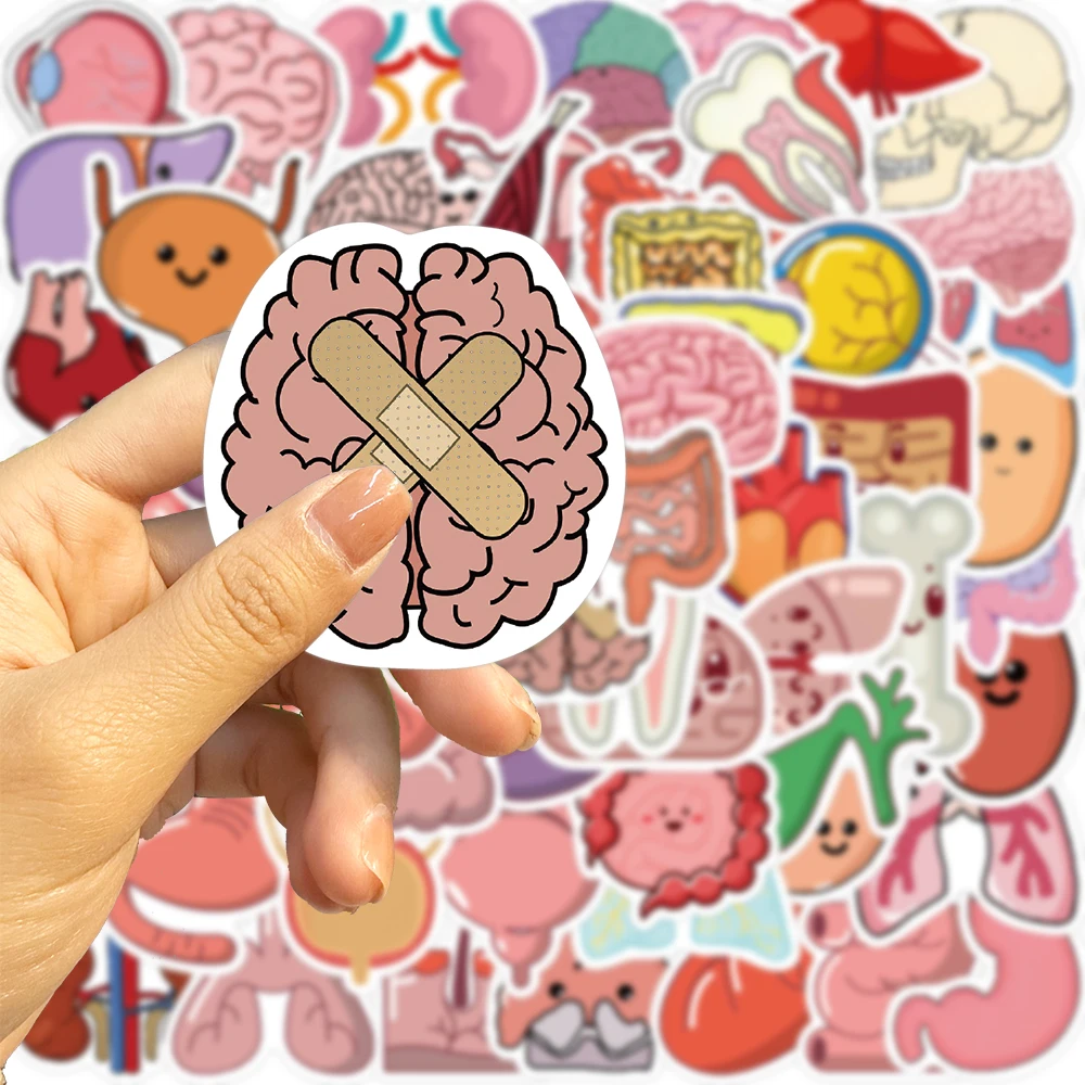 65Pcs Human Body Organ Stickers Cartoon Waterproof Sticker DIY Decals for Water Bottle Laptop Luggage Phone Kids Toys