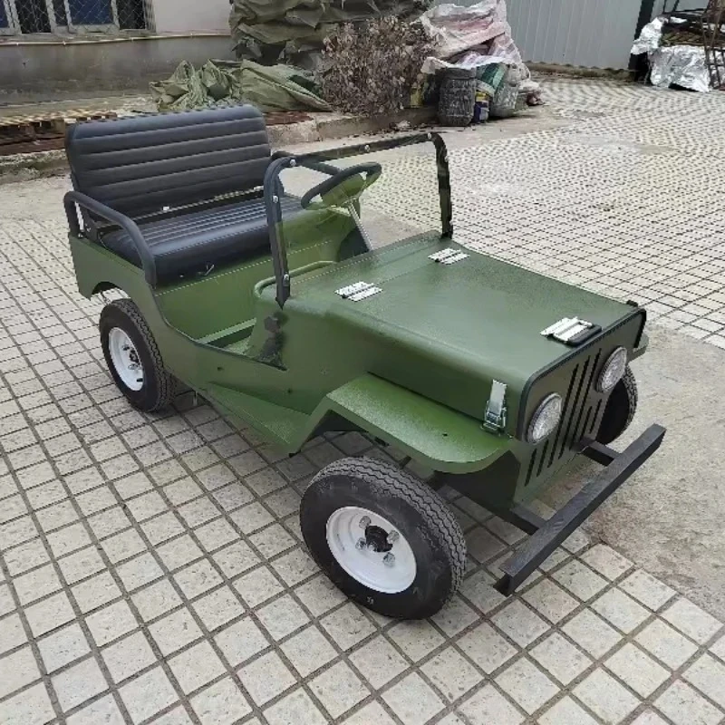 

Funny Outdoor Rides 4 Wheels 2 Seater for Adults and Kids Electric Go Karts Buggy