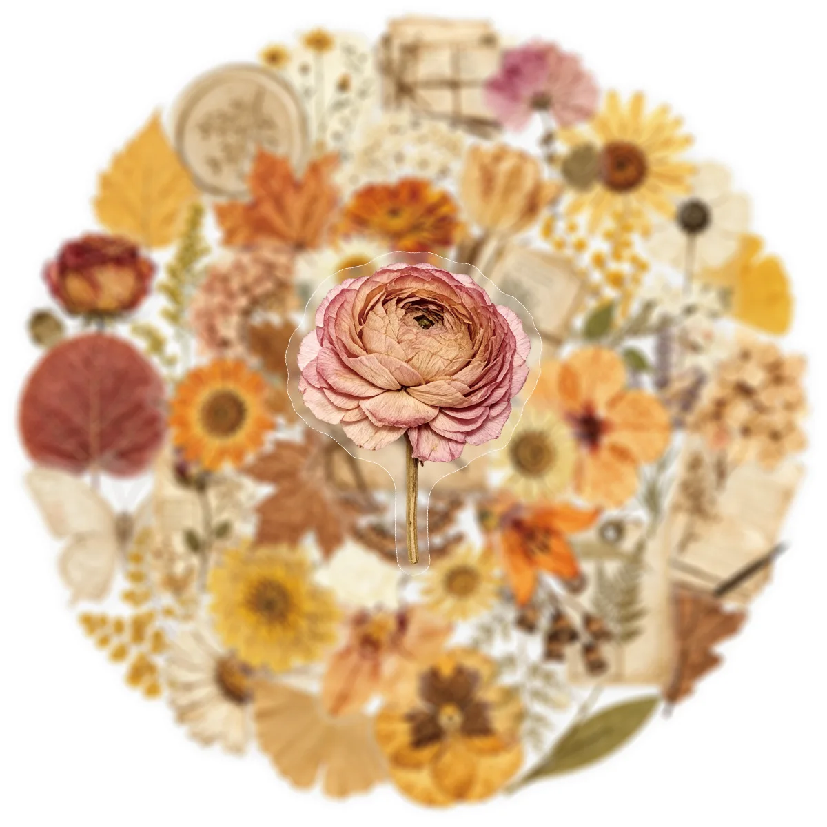 50 Pcs Dried Plant Transparent Stickers Forest Style Vintage PET Floral Realistic Dry Flower Waterproof DIY Journal Stickers