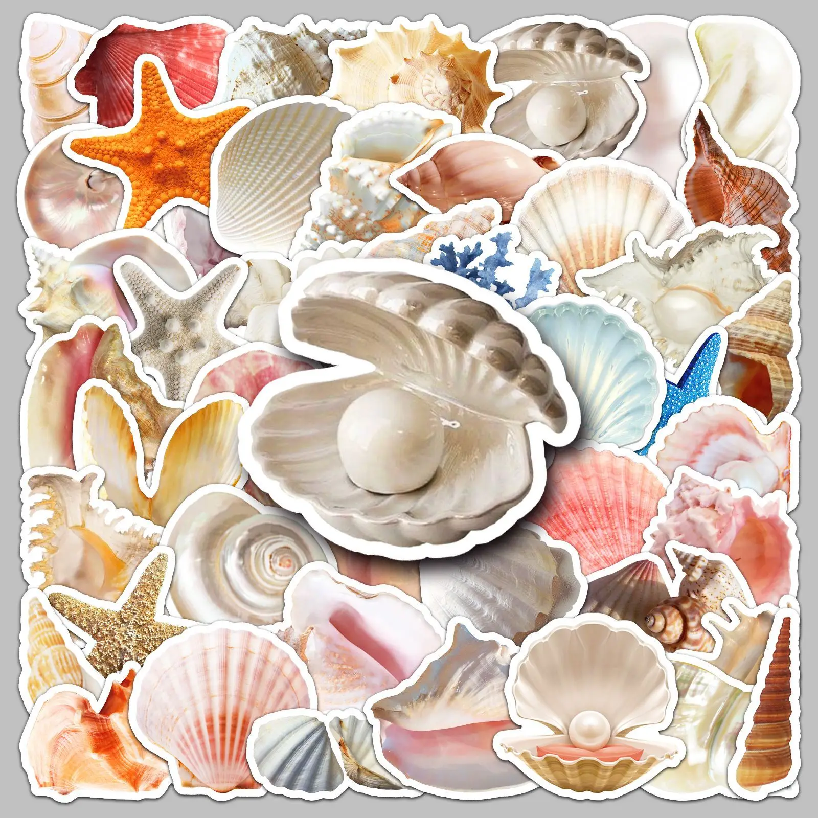 50pcs Shell Series Graffiti Stickers Suitable for Helmet Desktop Wall Decoration DIY Sticker Pack Wholesale