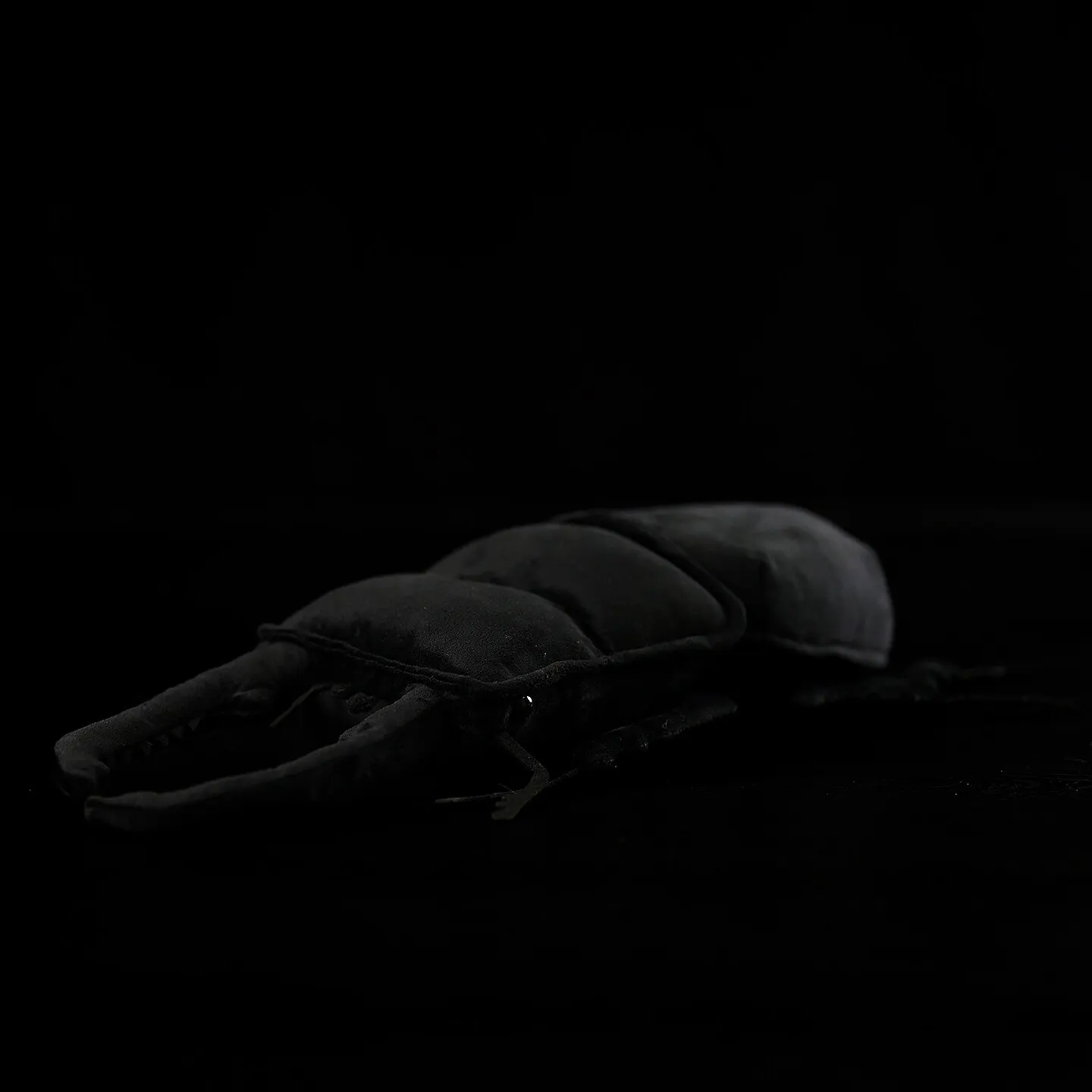 Serrognathus titanus, Dorcus titanus platymelus,Beetle, Knickknack,nicknack,Small ornaments and miniature models