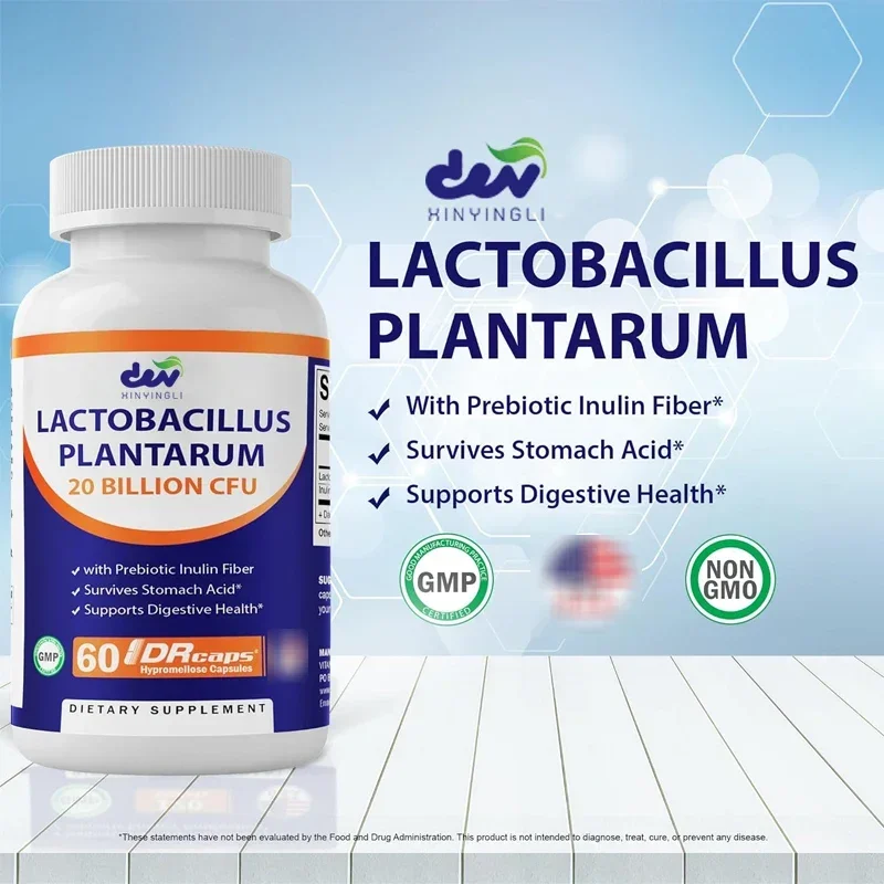 

Пробиотик Lactobacillus Plantarum – 20 миллиардов CFU на капсулу + пребиотический инсулин для здоровья Gut