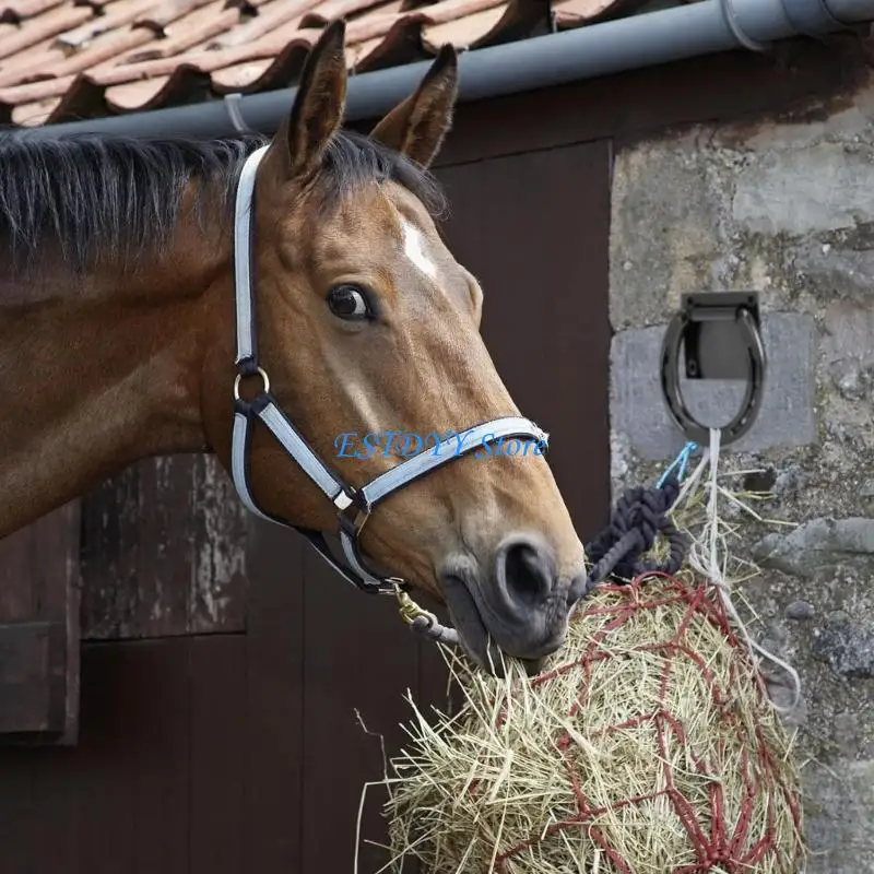 G6DE قطعتان من حلقات ربط الحصان مع براغي توسيع ومرفقات معدات الحصان متينة #5