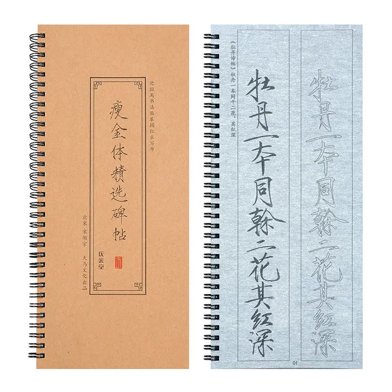 

Thin Gold Body Water Writing Cloth Calligraphy Copybook Traditional Chinese Slender Gold Calligraphy Tracing Practice Copybook