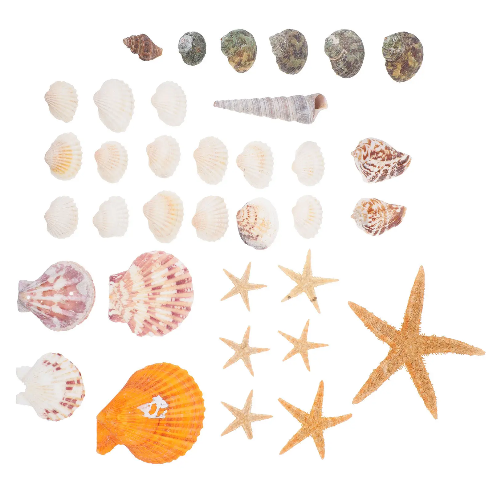 

4 упаковки миниатюрных имитаций ракушек для изготовления подвесок, аксессуары для волос, нежные подвески-ракушки в морском стиле, декор для рукоделия