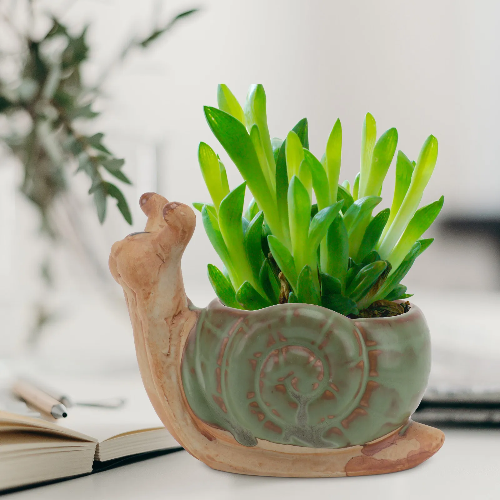 Ceramic Turtle Flower Pot for Succulents and Cacti – Funny Laughing Design Planter for Home Office Decor