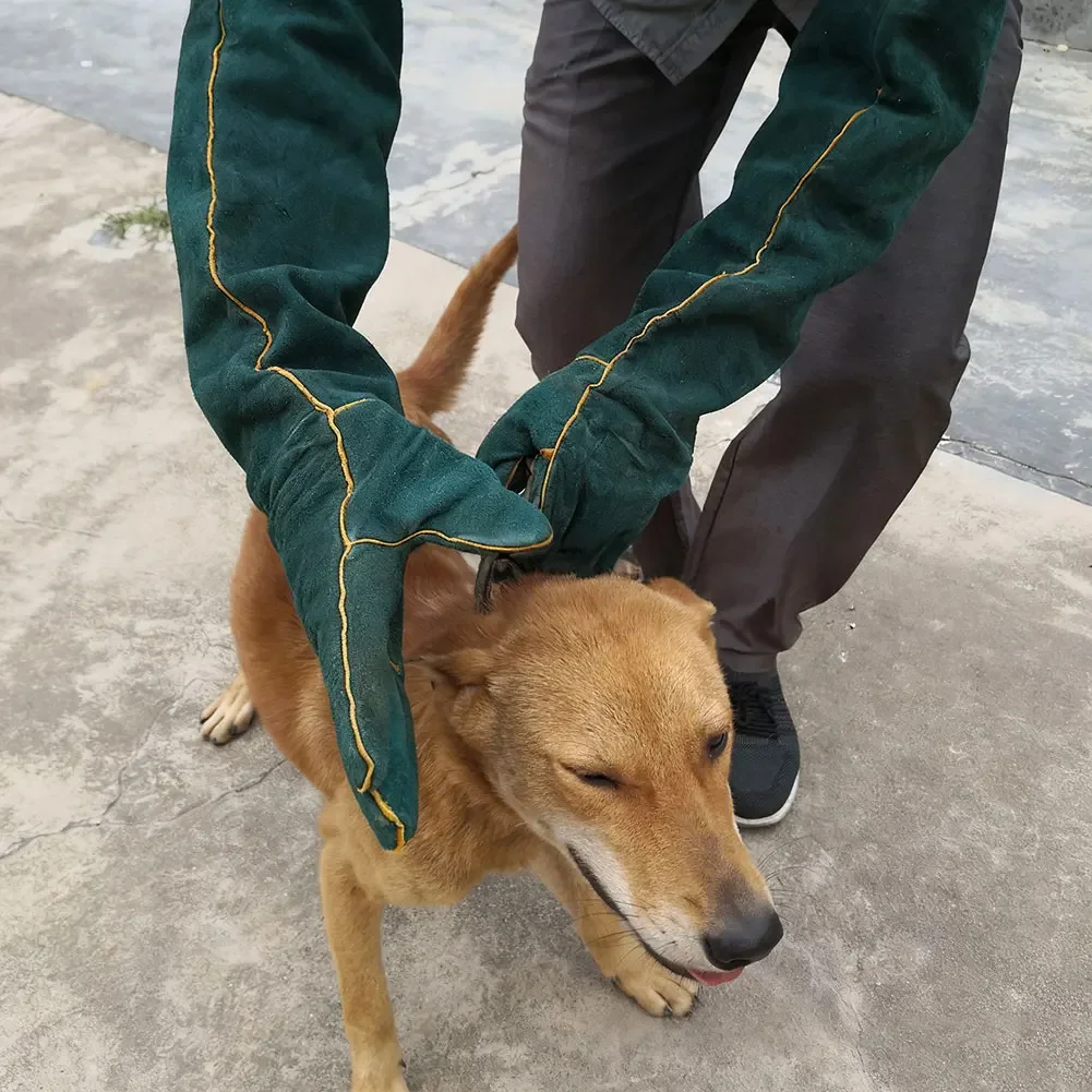 Guantes anti mordeduras y arañazos cuero perros gatos – Brazo largo - imagen 3