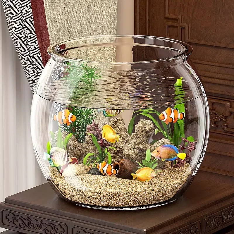 High Quality Compact Clear Plastic Tabletop Aquarium for Living Room Turtles Goldfish and Hydroponic Plants