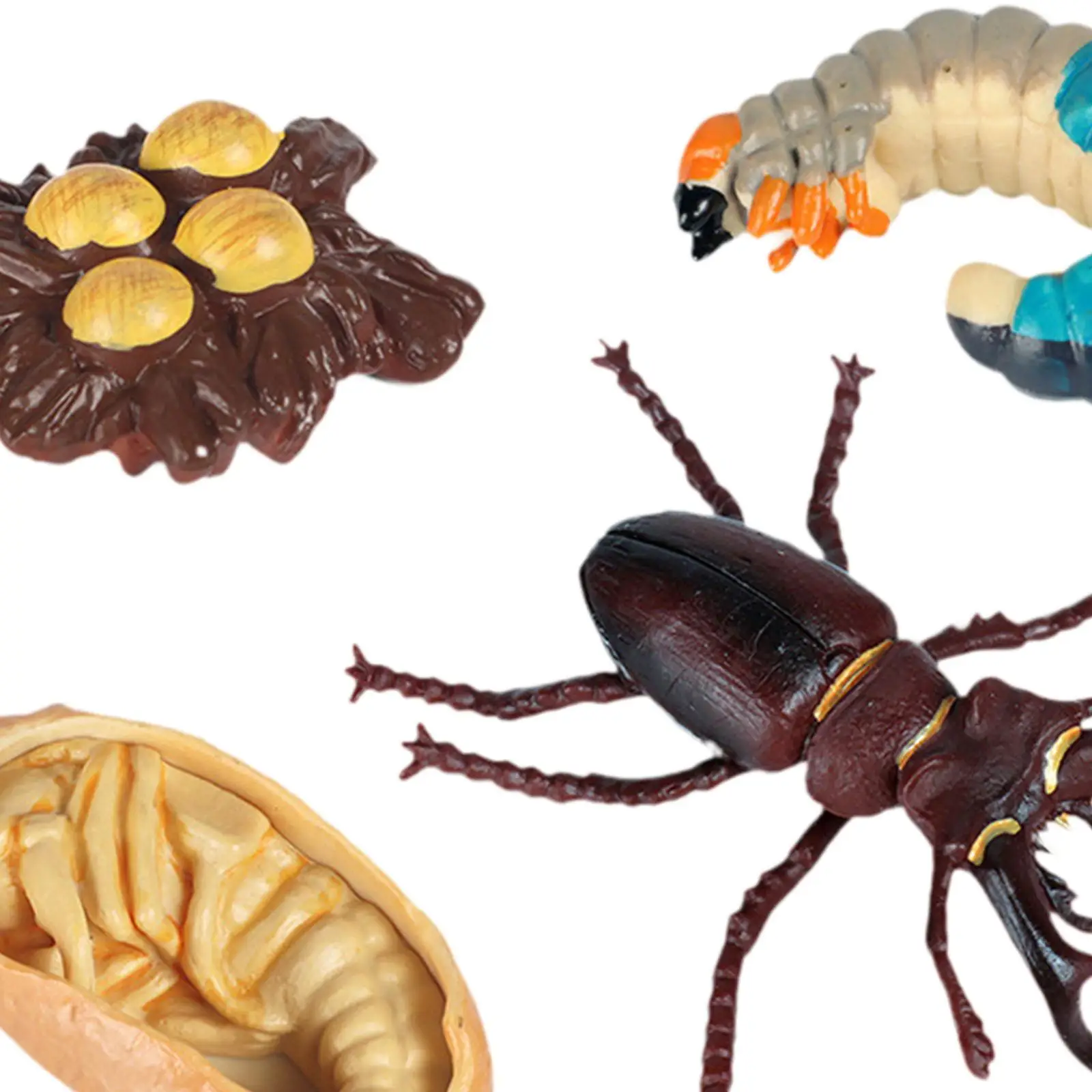 6x Animals Model Toys Educational Toy Set Toy Desktop Ornaments