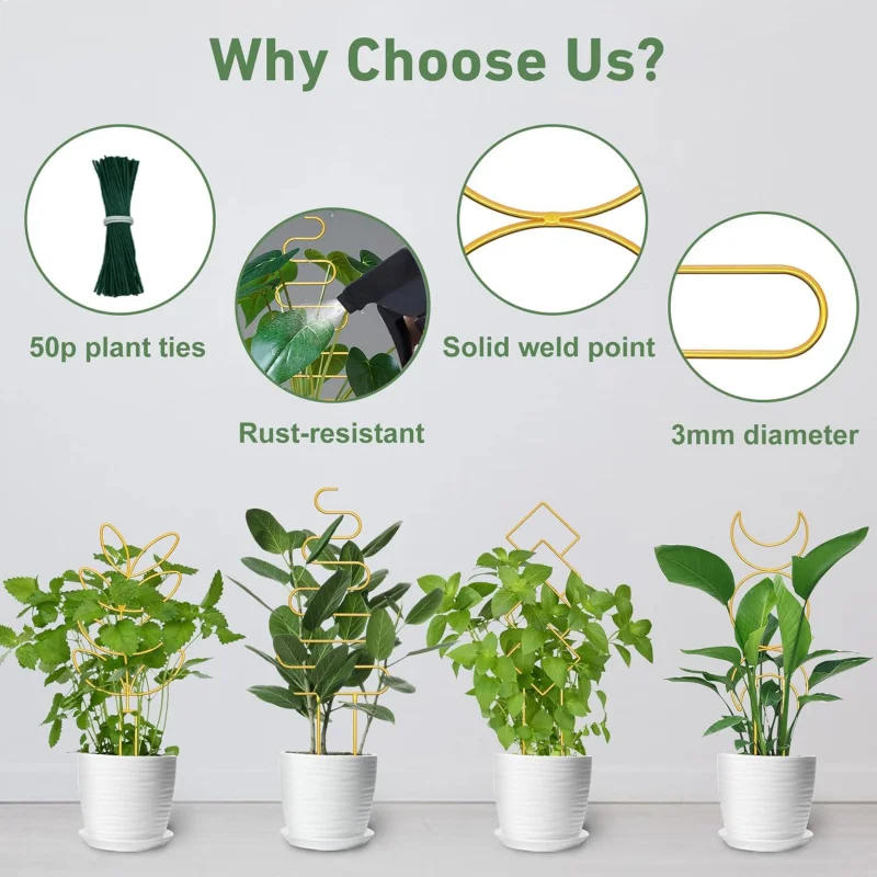 Treliça de planta maior de 23 polegadas para escalada interna, plantas em vasos com laços, suporte de metal Ho