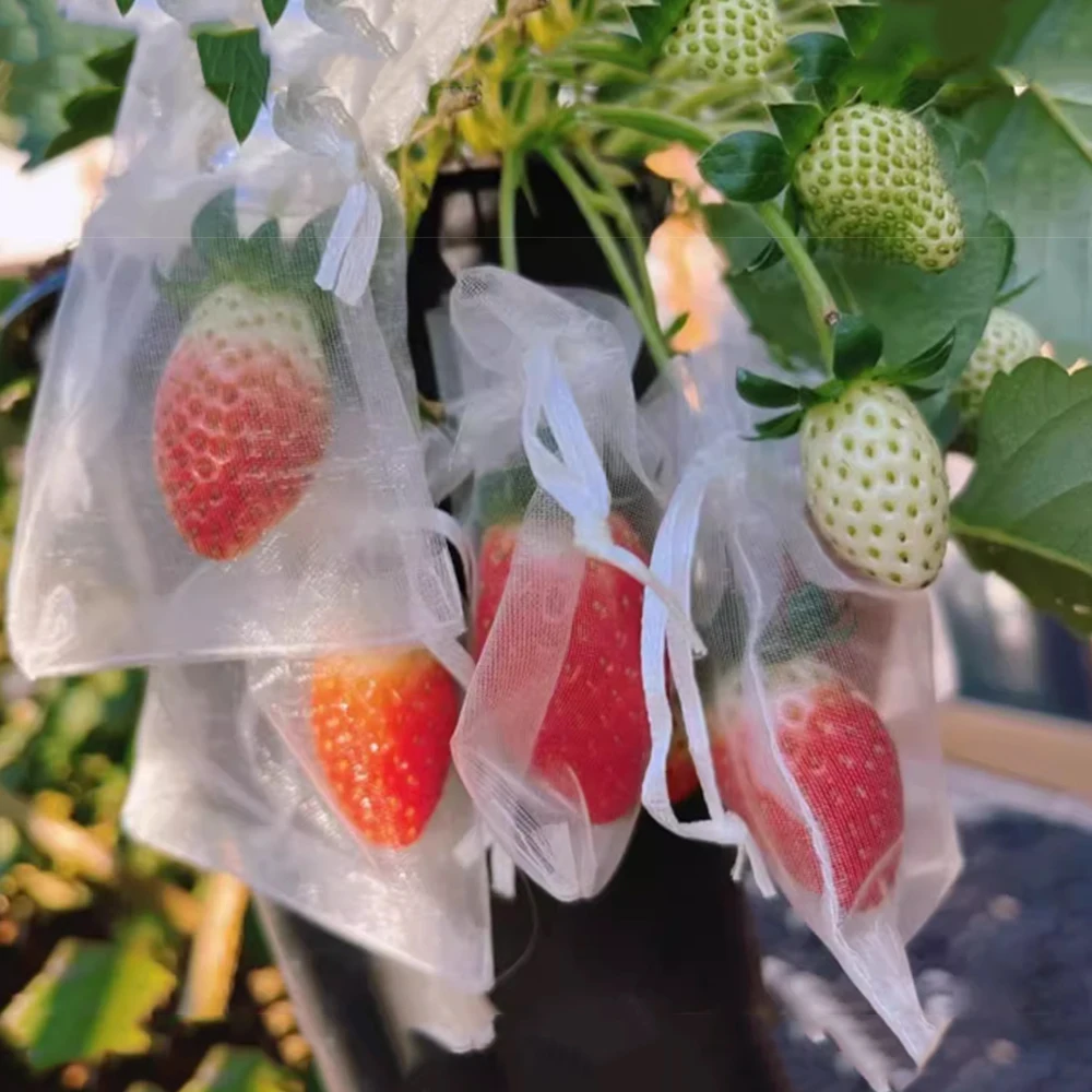 50pcs 22-color Garden Fruit Protection Bag Pest Control Anti-Bird Bagging Strawberry Grape Apple Breathable Netting Mesh Pockets