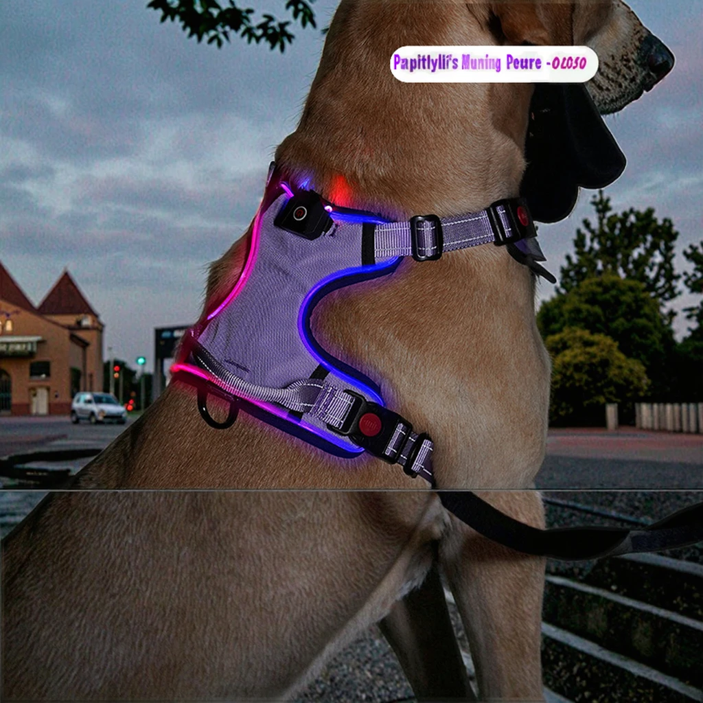 

Custom ODM LED Light Reflective Pet Dog Harness Padded Ribbon Decorated Fashion Solid Polyester Chest Strap Running Button