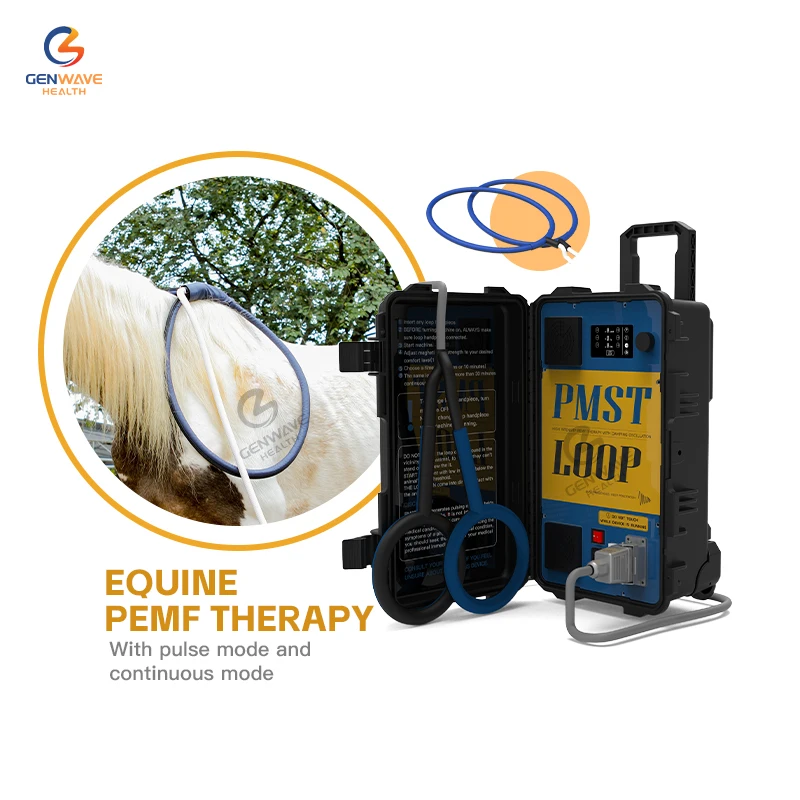 

Equine Pemf Therapy Machine Horses Magnetic Pulse Electromagnetic Therapy PMST LOOP Machine with X Wing