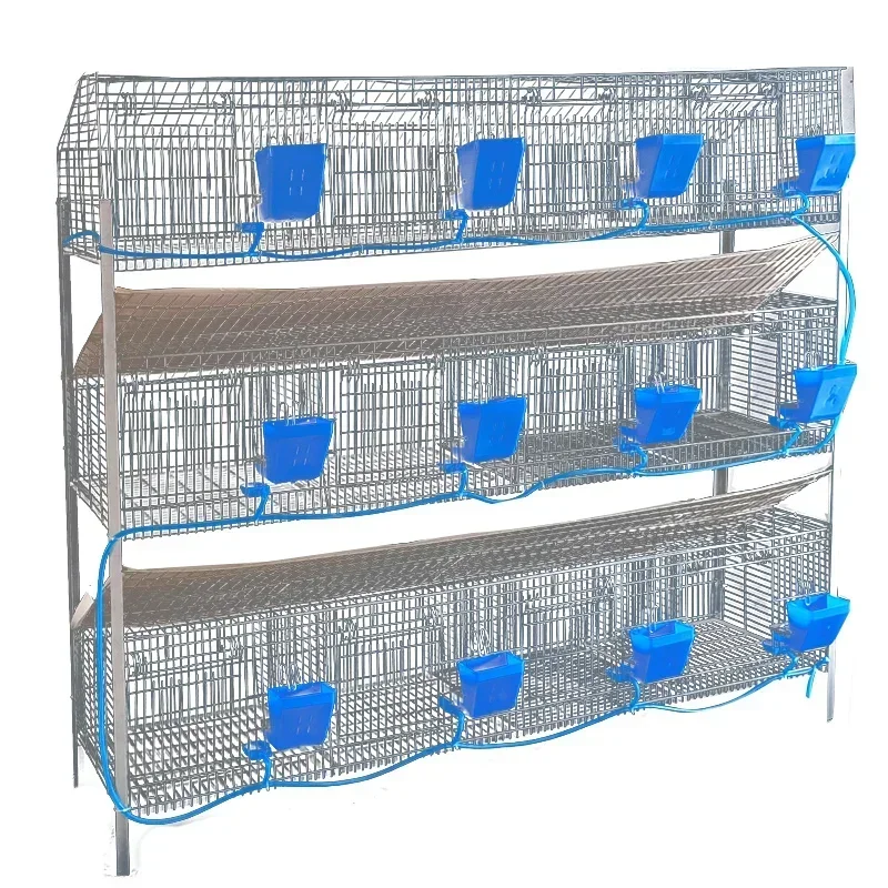 Rabbit  Breeding  Cage