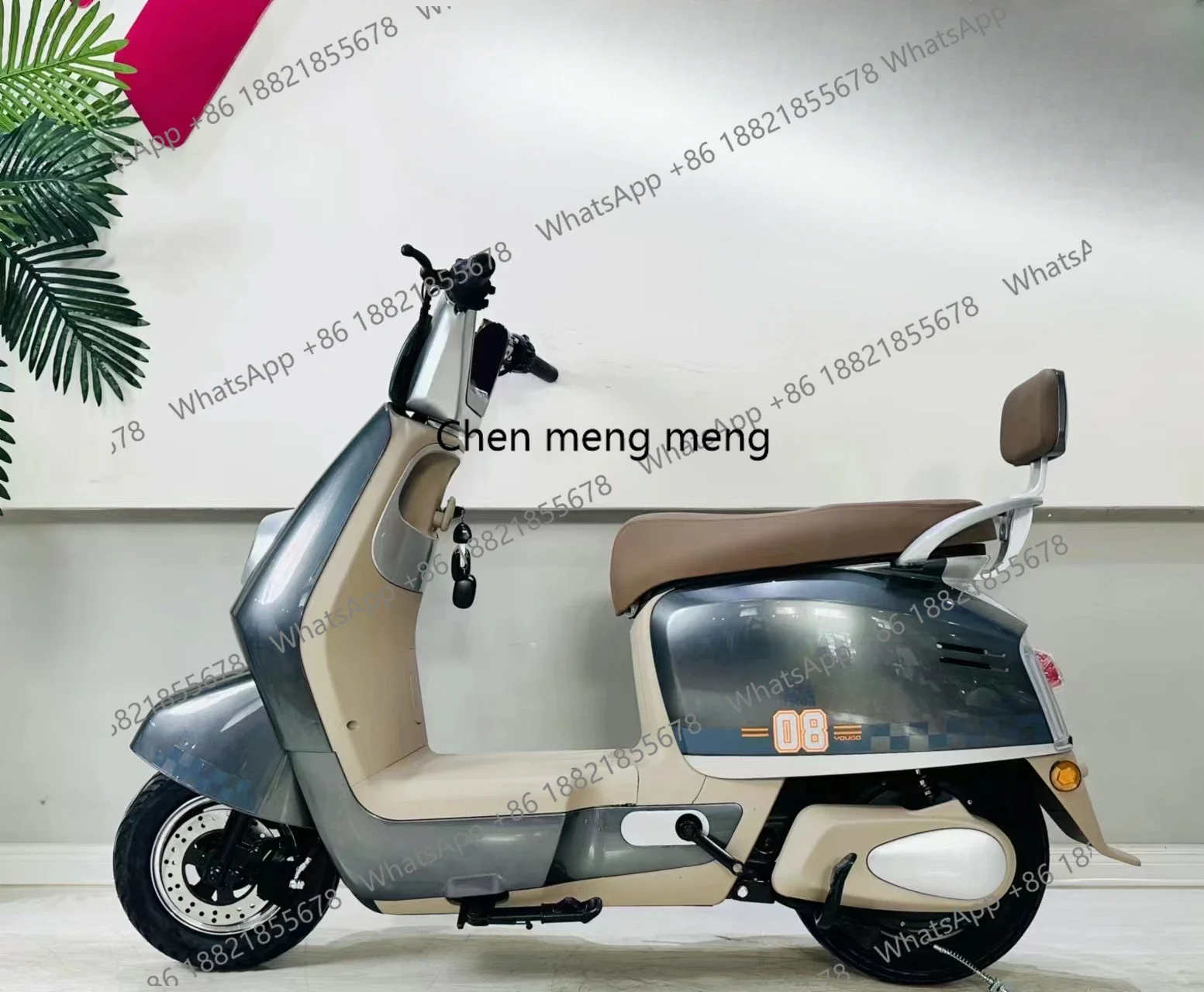 M138 Adults' Lithium Ion Electric Bicycle for Adults Lightweight Magnesium Alloy Men's and Women's Commuting Bike Power Assisted