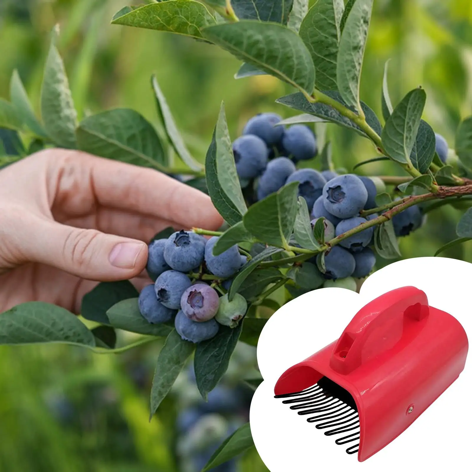 

Handle Blueberry Shovel Blueberry Picker Fruit Picker Blueberry Garden Tools with Ergonomic Handle for Easier Berry Harvester