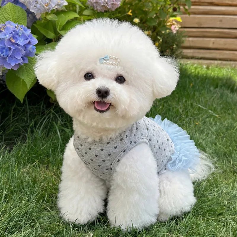 Vestido malla de verano sin mangas para perros y gatos, Chihuahua - imagen 5