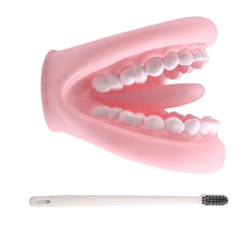 

ABWE-развивающий инструмент, кукла для рта с язычком, зубами, модель руки для мальчиков и девочек с зубной щеткой